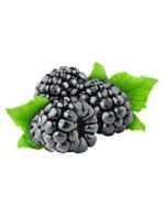 Blueberry Lemon Juice